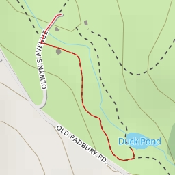 thumbnail for Duck Pond