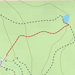 thumbnail for Oak Grove Walk - Oak Grove Walk