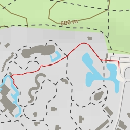 thumbnail for Евроазиатска кафява мечка - Сребърна - София