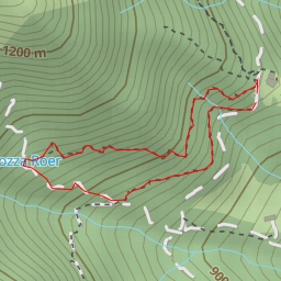 thumbnail for pozza Roer