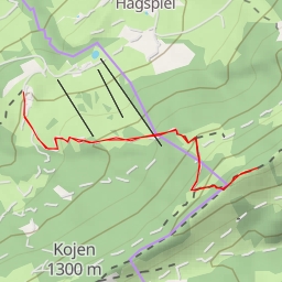 thumbnail for Enstehung der Viehwege - Hagspiel - Oberstaufen