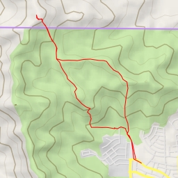 thumbnail for Topo Zamuro