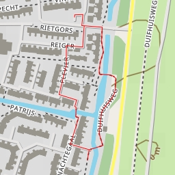 thumbnail for Nachtegaal