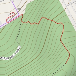 thumbnail for Hill stop with wild boar family