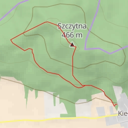 thumbnail for Przystanek 13: rośliny nagozalążkowe - Leśna