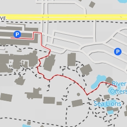 thumbnail for River Otters