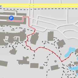 thumbnail for Northern Shores/Polar Bear