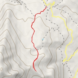 thumbnail for Primrose Overlook