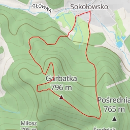 thumbnail for Różana