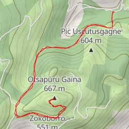 thumbnail for Otsapürü Gaïna