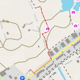 thumbnail for Ranita Meridional - Calle las Charcas