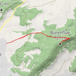 thumbnail for Bürenflue