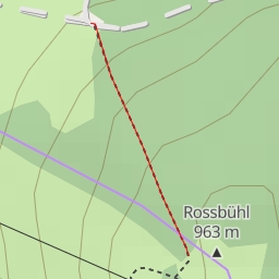 thumbnail for Rossbühl