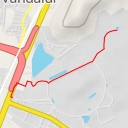 thumbnail for European Brown Bear