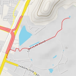 thumbnail for European Brown Bear