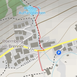 thumbnail for Wildbach Auffangbecken