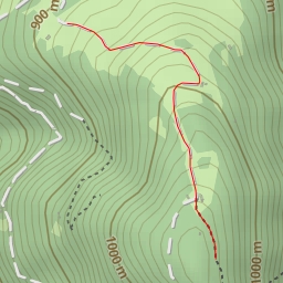 thumbnail for Monte Foral