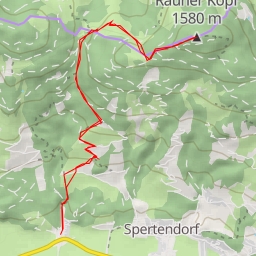 thumbnail for Rauher Kopf