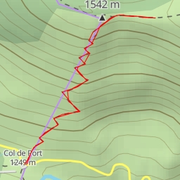 thumbnail for Route Forestière d'Andronne