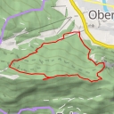 thumbnail for Brunnberg