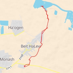 thumbnail for גשר אירי