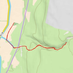 thumbnail for דבורה - 91 - מועצה אזורית גולן