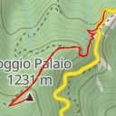 thumbnail for Poggio Palaio