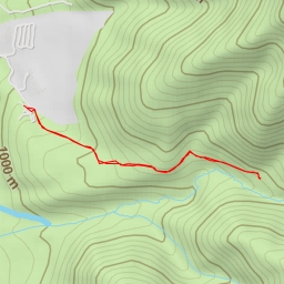 thumbnail for Mirador águila mora