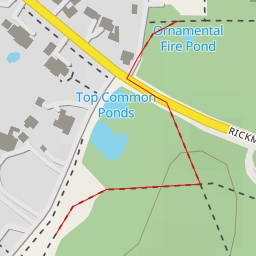 thumbnail for New Pond