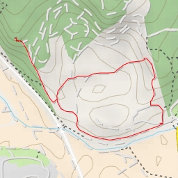 thumbnail for Moran Vardi