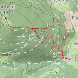 thumbnail for Sulzberg