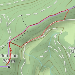 thumbnail for Roti Flue