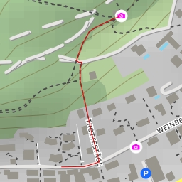 thumbnail for Alpenzeiger