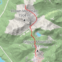 thumbnail for Crown N1