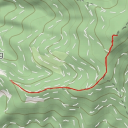 thumbnail for Rennfeld