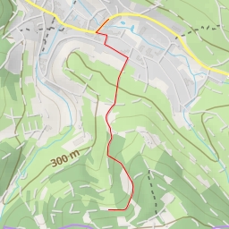thumbnail for Forst Lohrerstraße-Neuhütten-Rothenbucher Forst - Neuhütten