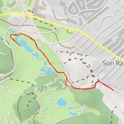 thumbnail for Carrer de Miquel Lladó - Palma