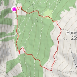 thumbnail for schwarze Lackn