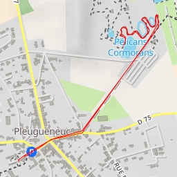 thumbnail for Pélicans Cormorans