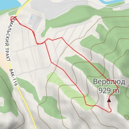 thumbnail for Верблюд