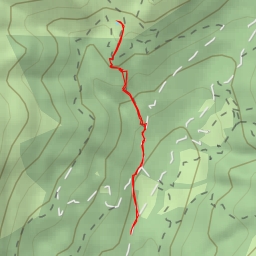 thumbnail for Variante Verzuda - Variante Verzuda