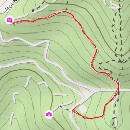 thumbnail for The Tiffany & Co. Foundation Overlook