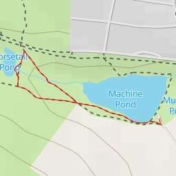 thumbnail for Horsetail Pond