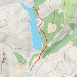 thumbnail for Pellare