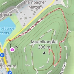 thumbnail for Muehlkoepfel