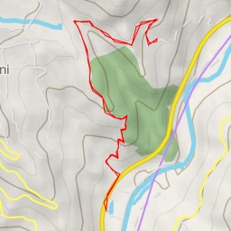 thumbnail for Collalluna