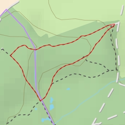 thumbnail for Fallen tree - Kierchepad - Käerjeng