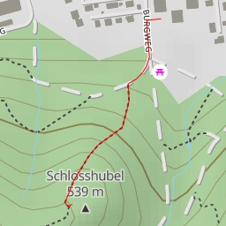 thumbnail for Schlosshubel