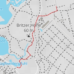 thumbnail for Kopfweidenpfuhl