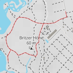 thumbnail for Amsel - Berlin